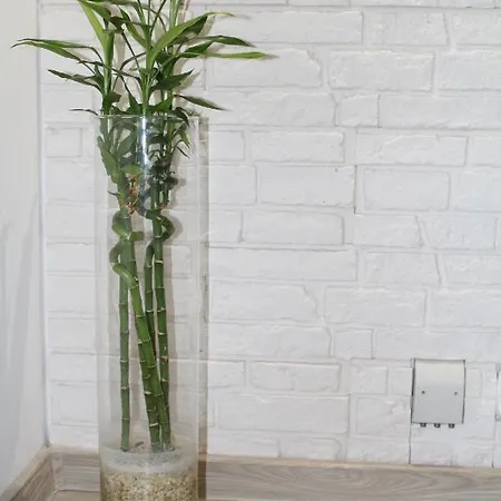 Przy Starym Rynku Appartement *