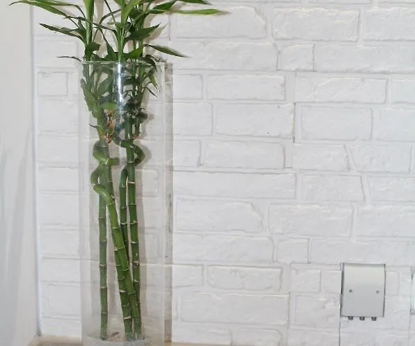 Przy Starym Rynku شقة *